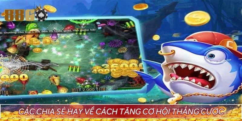 Các chia sẻ hay về cách tăng cơ hội thắng cược