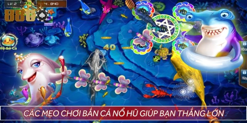 Các mẹo chơi bắn cá nổ hũ giúp bạn thắng lớn