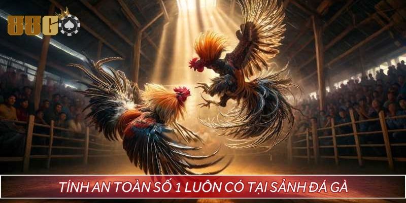 Tính an toàn số 1 luôn có tại sảnh đá gà