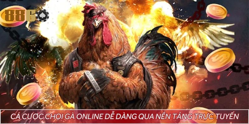 Cá cược chọi gà online dễ dàng qua nền tảng trực tuyến