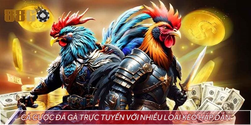 Cá cược đá gà trực tuyến với nhiều loại kèo hấp dẫn