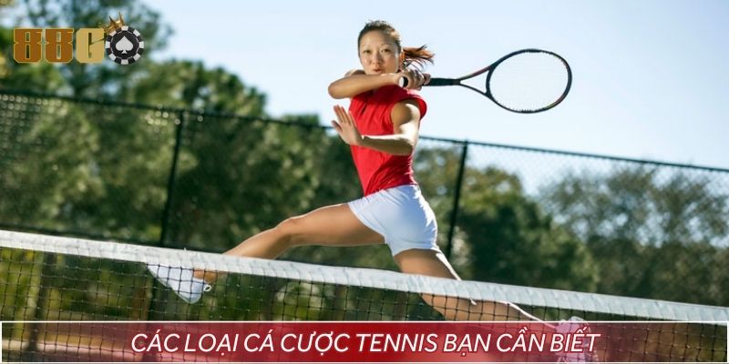  Các loại cá cược tennis bạn cần biết