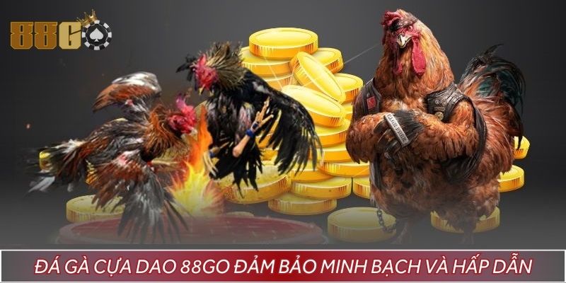 Đá gà cựa dao 88GO đảm bảo minh bạch và hấp dẫn