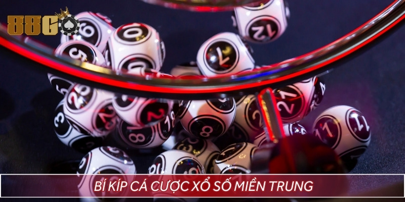 Bí kíp cá cược chuẩn giúp bạn hạn chế mọi rủi ro