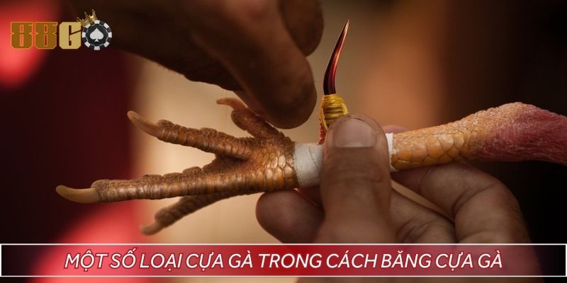 Các loại cựa gà thường thấy