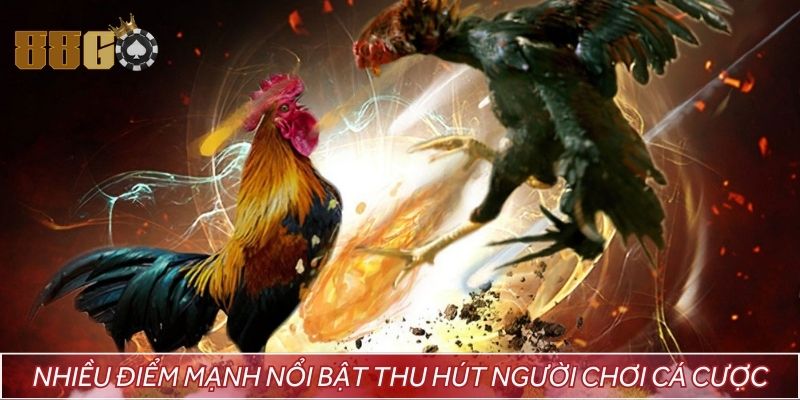 Nhiều điểm mạnh nổi bật thu hút người chơi cá cược
