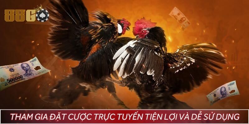 Tham gia đặt cược trực tuyến tiện lợi và dễ sử dụng