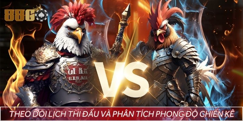 Theo dõi lịch thi đấu và phân tích phong độ chiến kê trước khi cược