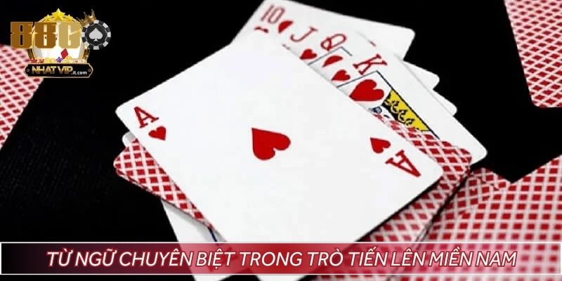 Từ ngữ chuyên biệt trong trò tiến lên miền Nam